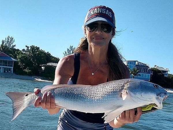 Bull Redfish